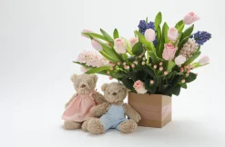 Nana Huchy Baby Honey Bear - Dress Baby Blue Best