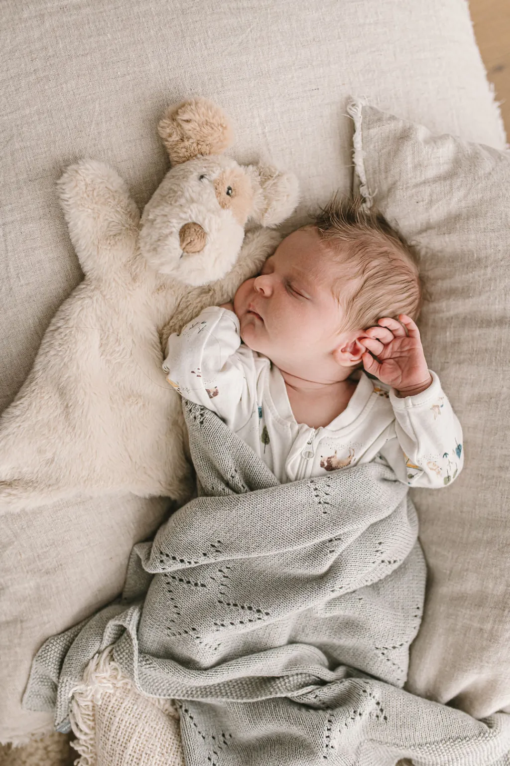 Nana Huchy Buddy the Dog Hoochy Coochie Hot