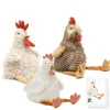 Nana Huchy Clucky Clan Gift Pack