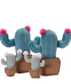 Nana Huchy Cool Cacti Bundle New