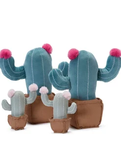 Nana Huchy Cool Cacti Bundle New