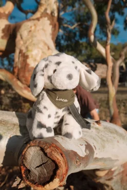 Nana Huchy Debbie the Dalmation Hot