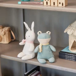 Nana Huchy Forrest the Frog Sale