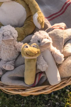 Nana Huchy Frank The Frog Rattle Sale