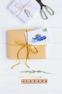 Nana Huchy Gift Card - Dinosaurs Sale