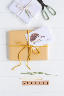 Nana Huchy Gift Card - Spike the Echidna New