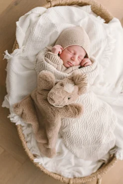 Nana Huchy Harvey the Horse Hoochy Coochie Outlet