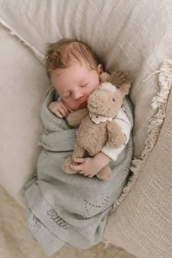 Nana Huchy Harvey the Horse Rattle Online