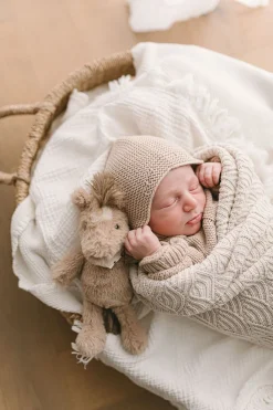 Nana Huchy Harvey the Horse Rattle Online