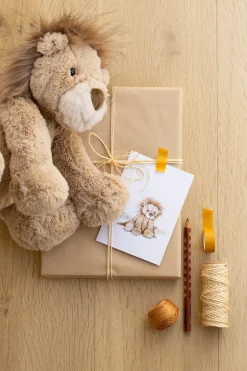 Nana Huchy Lewis the Lion Discount