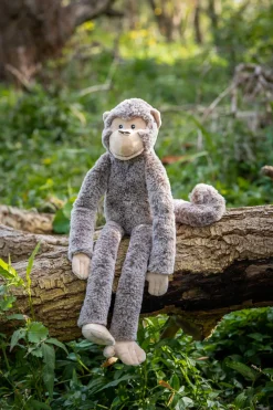 Nana Huchy Mani the Monkey Online